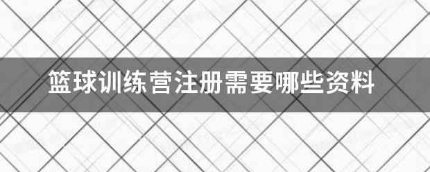 威耐斯篮球训练营官网